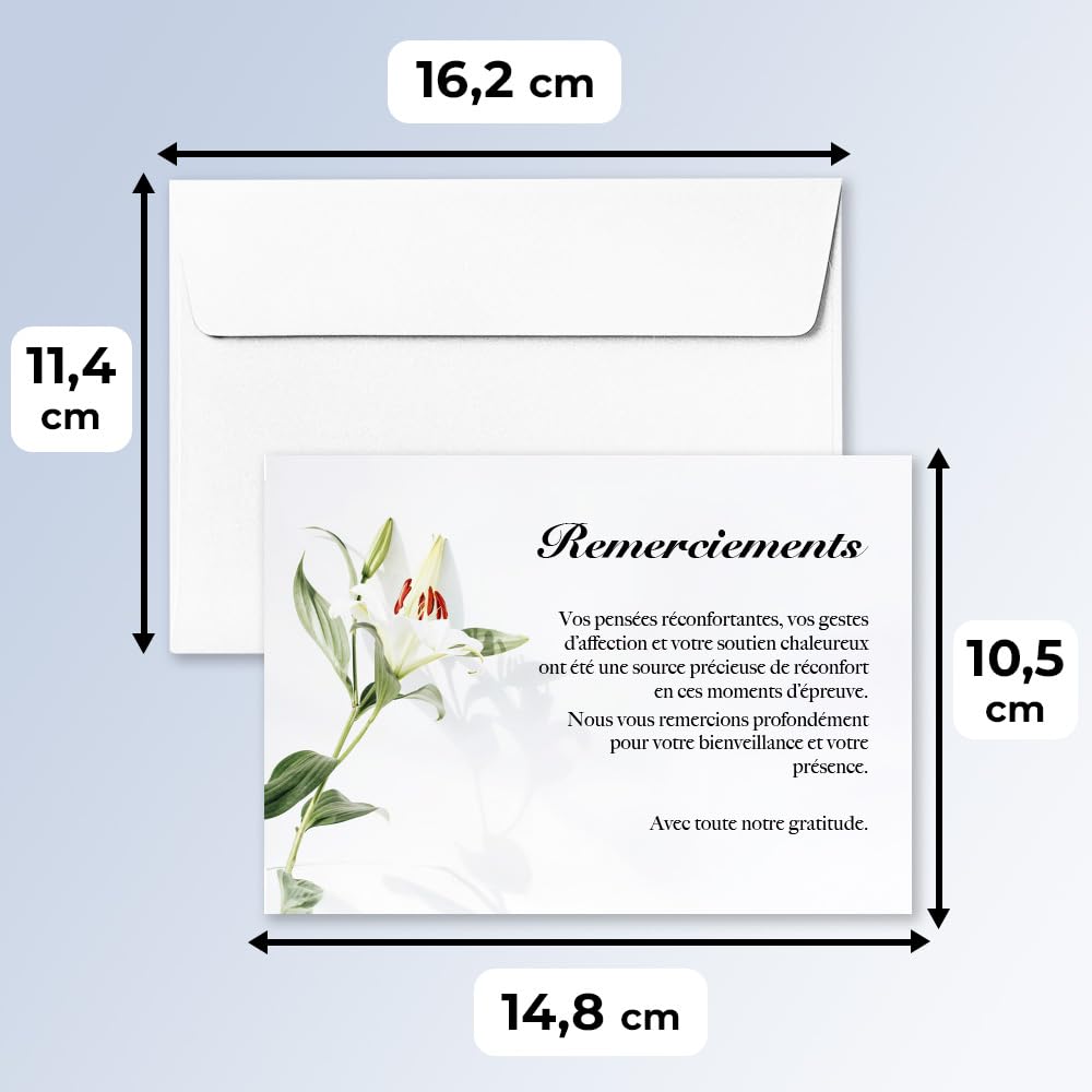 UTTSCHEID Cartes Remerciement - Deuil – Condoléances - Décès Obsèques - Cartes avec Enveloppes – Format A6 (10,5 x 14,8 cm) - Fleur de lys