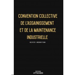 Convention collective de l'assainissement et de la maintenance industrielle FEVRIER 2017 + Grille de Salaire