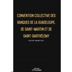 Convention collective des banques de la Guadeloupe, de Saint-Martin et de Saint-Barthélemy 2023 - Brochure 3352 + grille de Salaire 