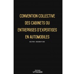 Convention collective des cabinets ou entreprises d'expertises en automobiles - 