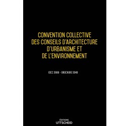Convention collective des conseils d'architecture, d'urbanisme et de l'environnement - 