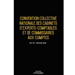Convention collective nationale Comptables et Commissaires aux comptes -