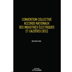 Convention collective nationale Electricité et gaz 2024 - Brochure 3068 + grille de Salaire