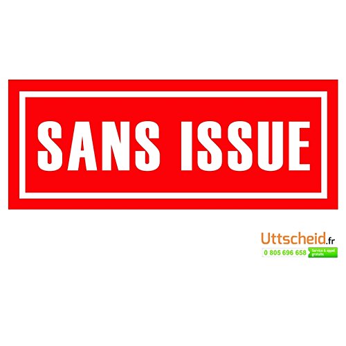 Autocollant vinyl - Sans issue - L.200 x H.100 mm
