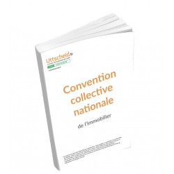 Convention collective nationale Immobilier+ Grille de Salaire